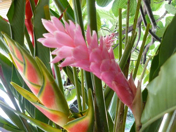 Colors of Moorea