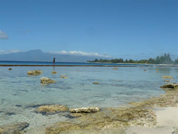 Motu Temae - Our beach