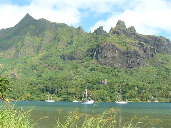 Cook Bay