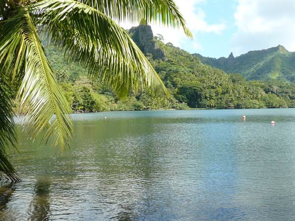 Opunohu Bay