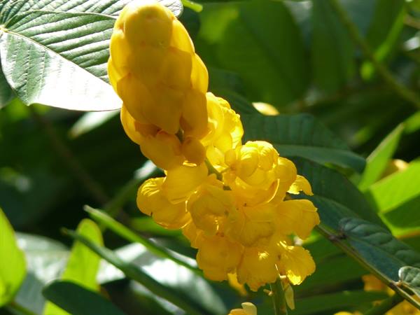 Colors of Moorea