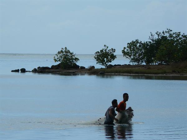 Fishermen at Papetoai