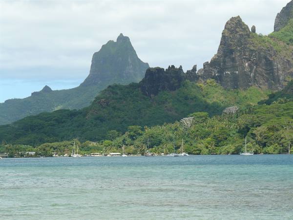 Cook Bay
