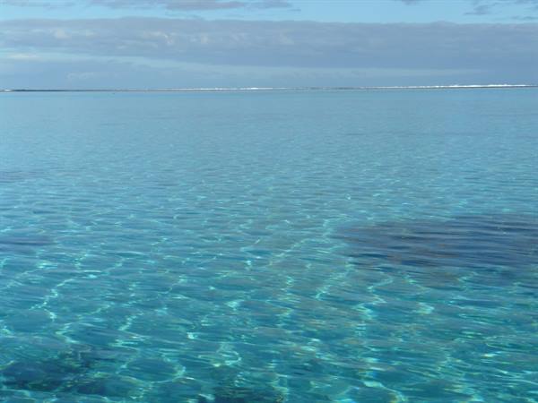 In the lagoon
