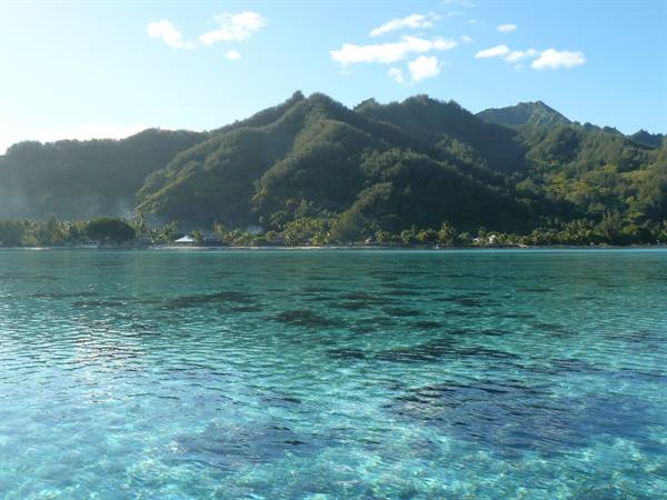 Moorea's coast