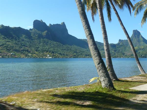 Cook Bay