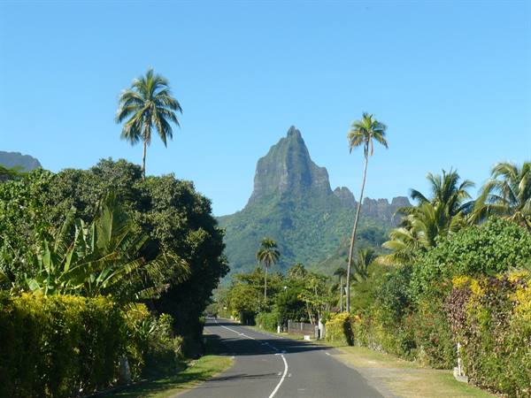 Cook Bay