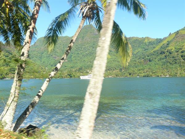 Opunohu Bay