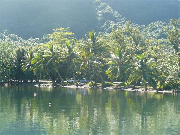 Opunohu Bay