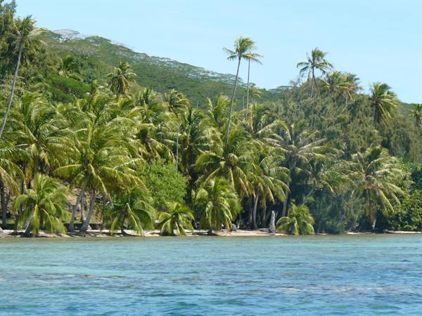 The coast of Tahaa