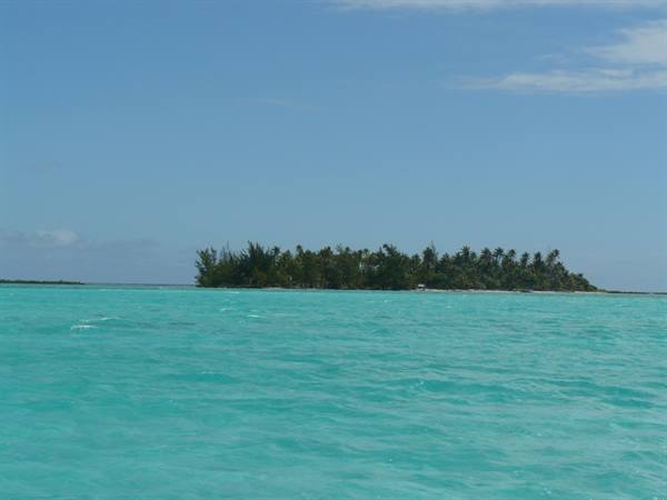 Motu seen from the lagoon