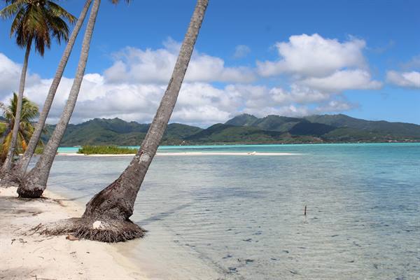 to the deserted Island