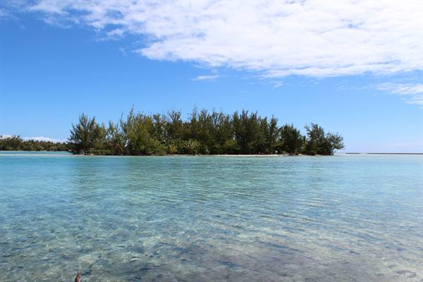 to the deserted Island