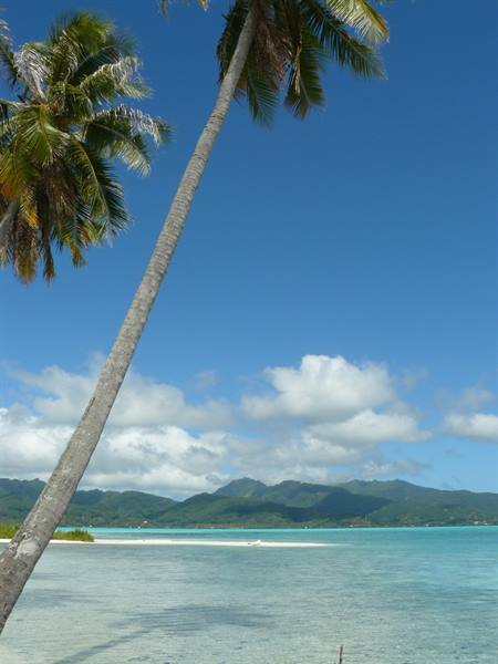 to the deserted Island