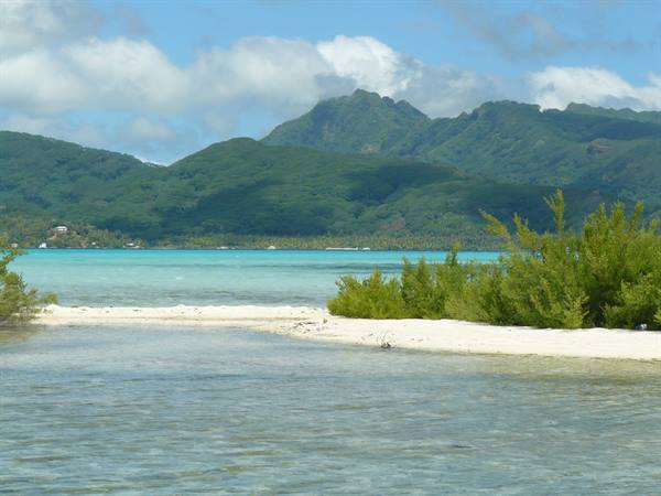 to the deserted Island
