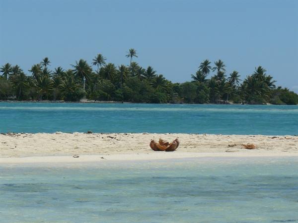 to the deserted Island