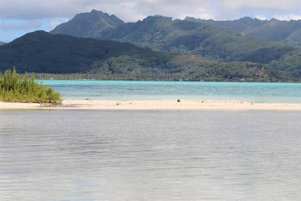 to the deserted Island