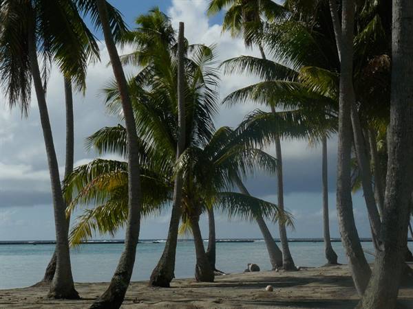 to the deserted Island