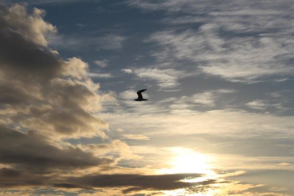 Sunset over the sky of Tahaa