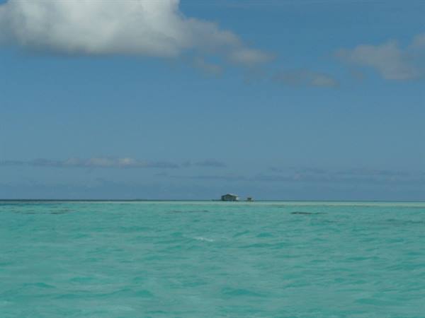 The lagoon