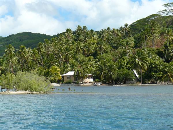 The coast of the Island