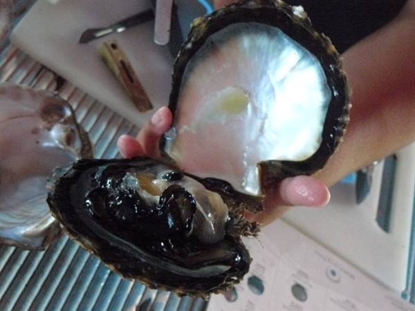 Pearl factory