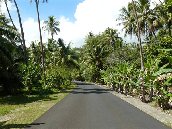 The road of the Island