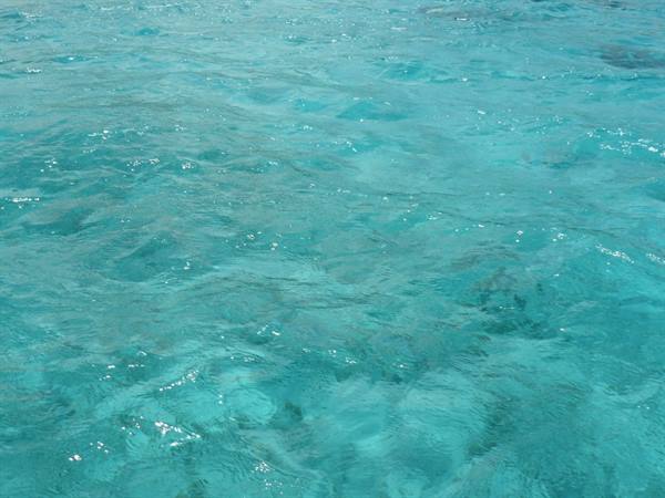 By boat in the lagoon