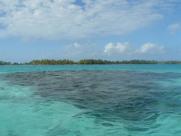 By boat in the lagoon 