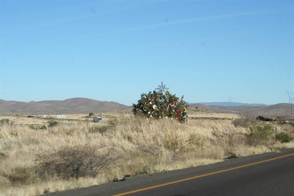 Arizona on the road - Christmas tree in the middle of nowhere........