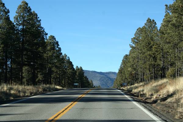 Toward the Grand Canyon - Dixie Forest
