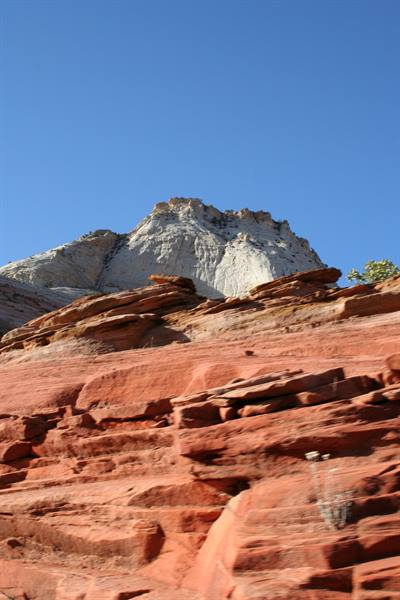 Zion NP