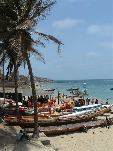 Colorful fishing pirogues on the beach among palm trees, fishermen in the sun