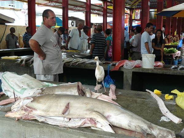 Victoria Market