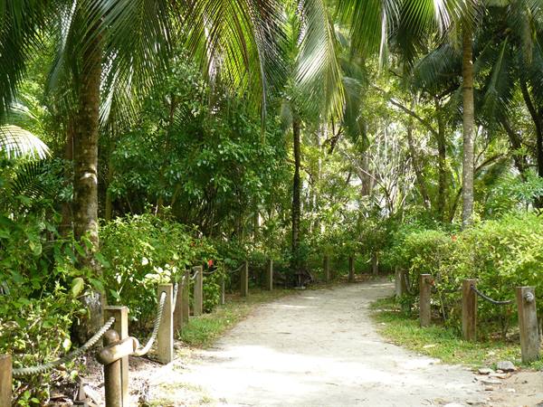 Arrival at Anse Intendance