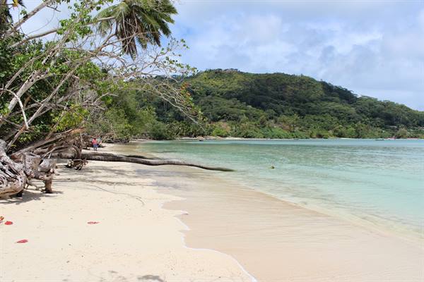 Anse a La Mouche