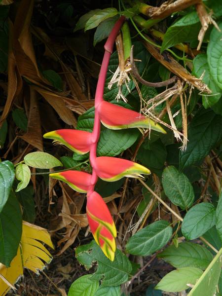 Colors of Mahè