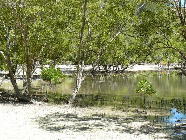 Curieuse Island