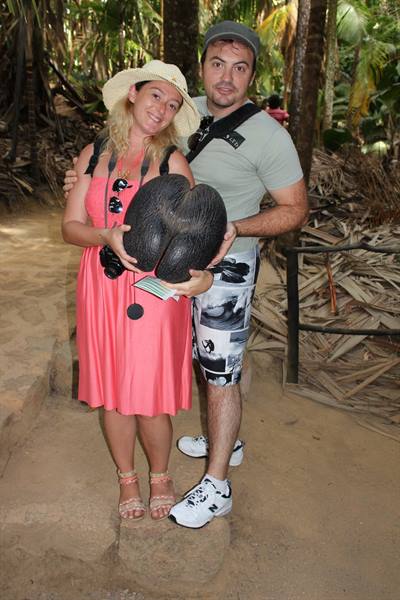 Vallée de Mai - The Coco de mer