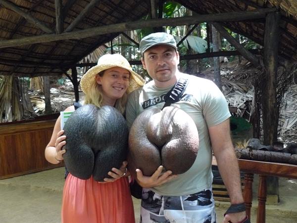 Vallée de Mai - The coco de mer