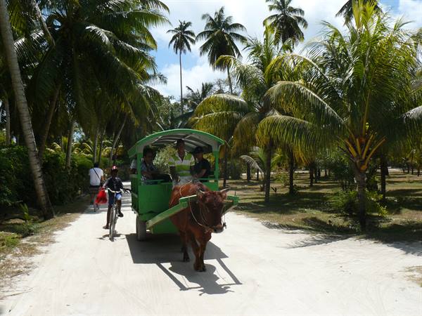 On the roads of the Island