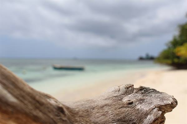 Anse La Reunion