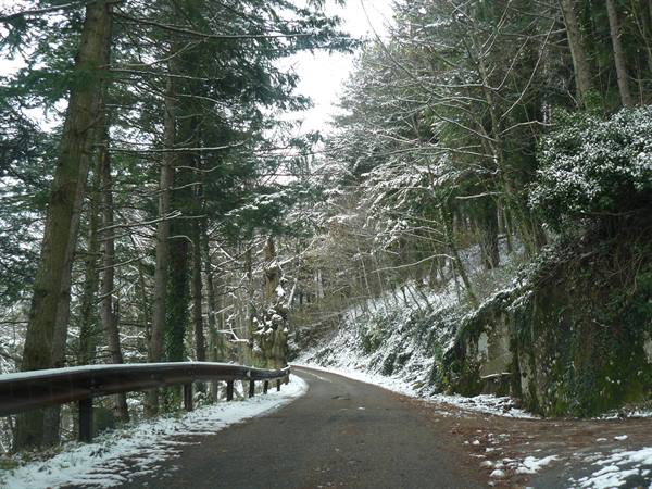 Trappola hamlet