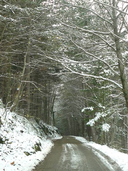 Trappola hamlet