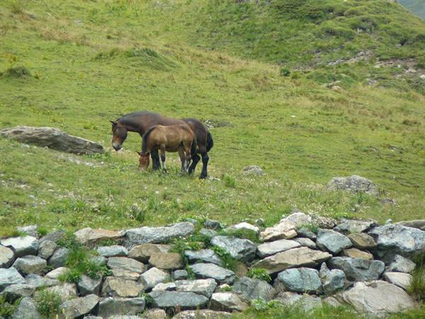 Grossglockner Alpine Road