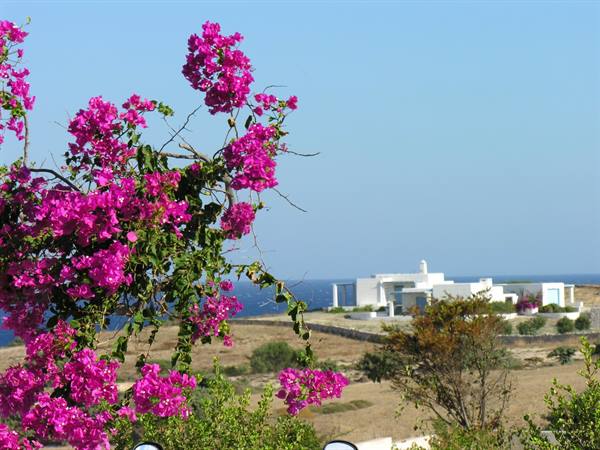 Good morning Milos