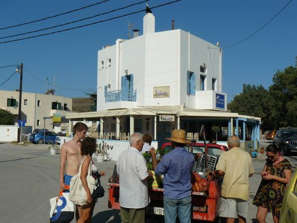 Pollonia