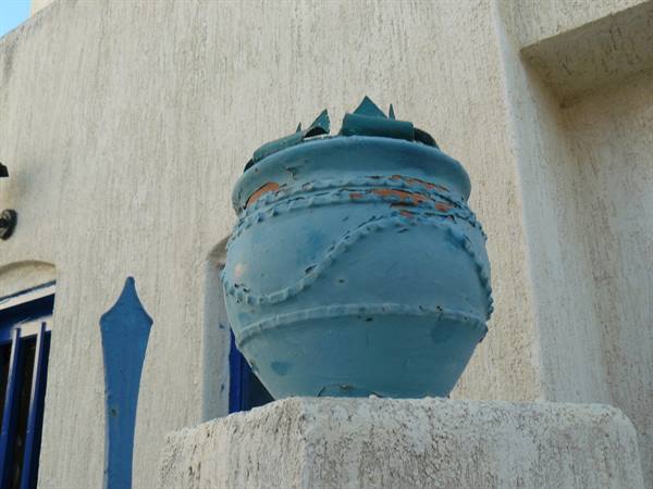Plaka