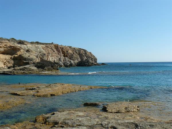 Firiplaka