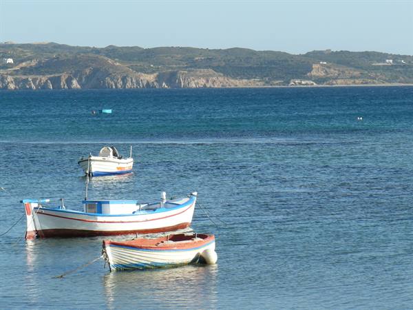 Pollonia